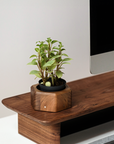 Wood Monitor Stand with shelf (Classic Design)