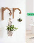 Plant Hanger