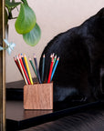 Pen holder