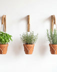 Plant Hanger