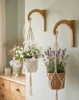 Plant Hanger