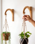 Plant Hanger