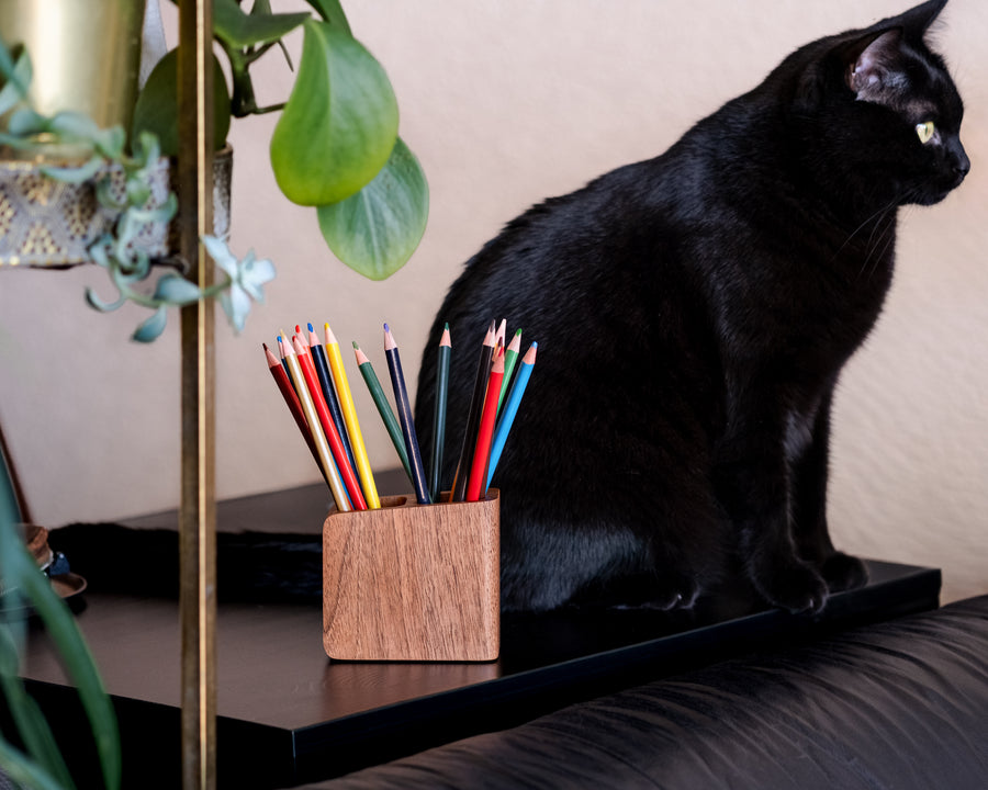 Pen holder
