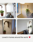 Plant Hanger