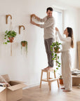 Plant Hanger