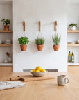 Plant Hanger