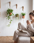 Plant Hanger