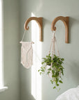 Plant Hanger