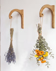 Plant Hanger