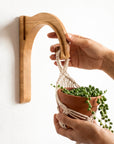 Plant Hanger